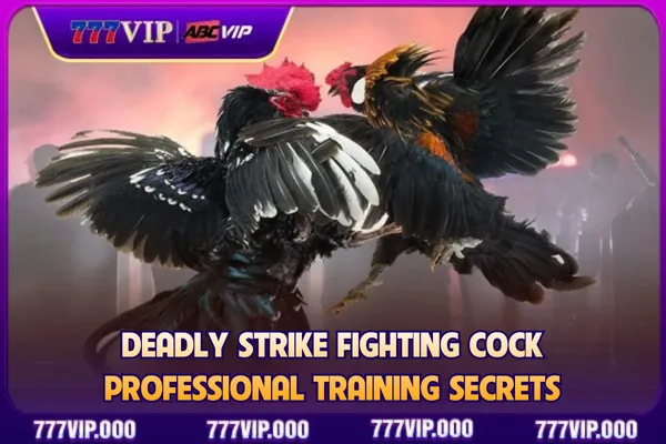 Deadly Strike Fighting Cock - Professional Training Secrets