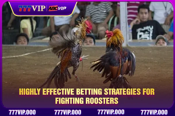 Highly effective betting strategies for fighting roosters