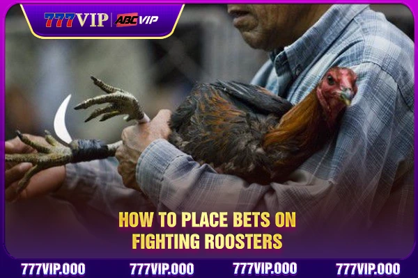 How to place bets on fighting roosters