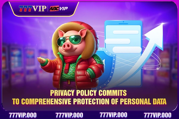 Privacy policy commits to comprehensive protection of personal data