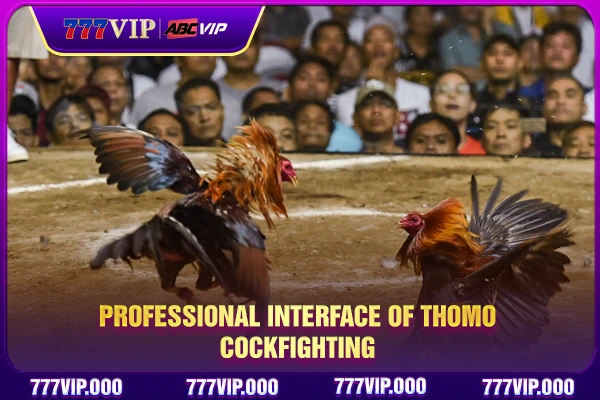 Professional interface of Thomo Cockfighting