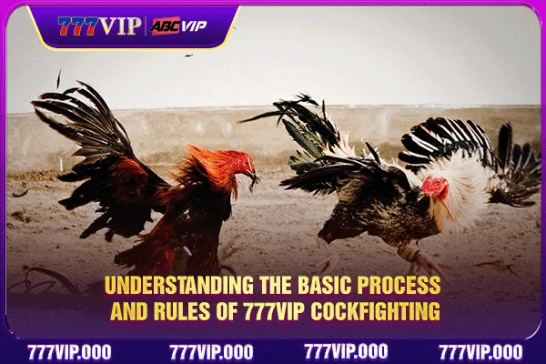 Understanding the basic process and rules of 777VIP Cockfighting